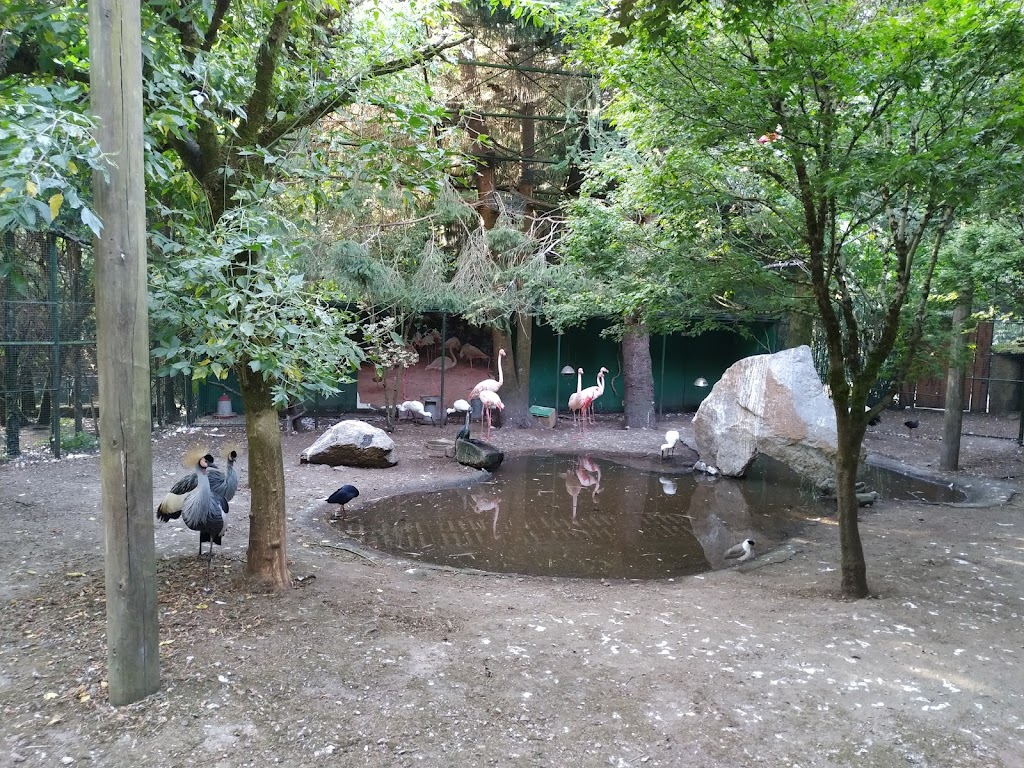 Foto  18