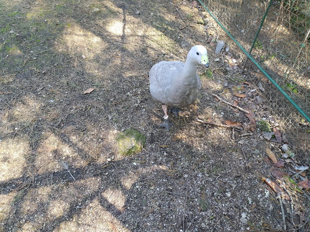 Foto  20