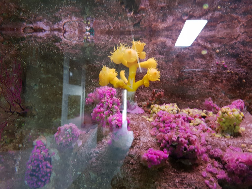 Foto  3