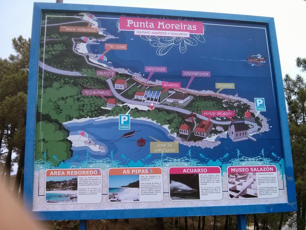 Foto  5