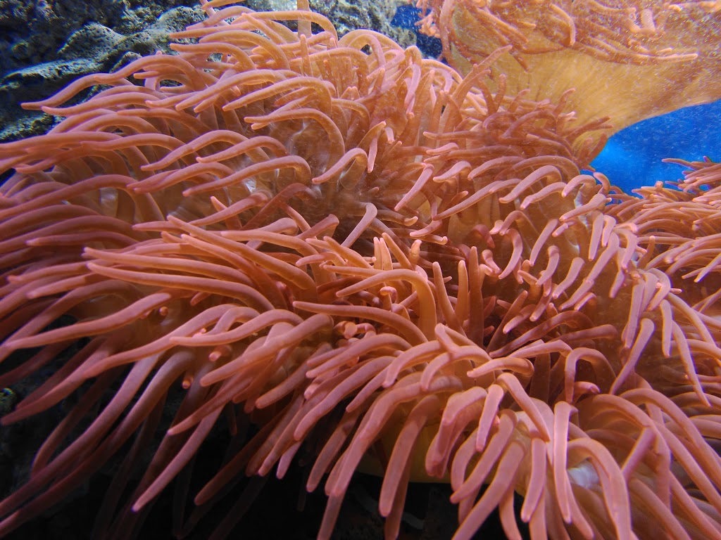 Foto  6