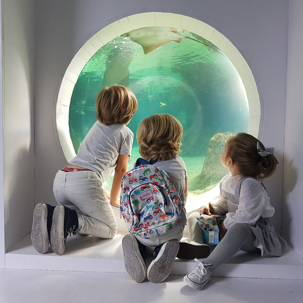 Acuario do Grove