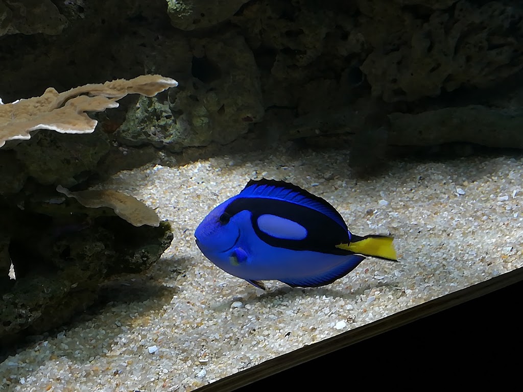 Foto  9