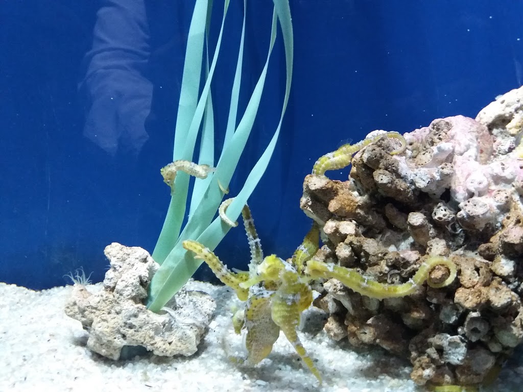 Foto  12