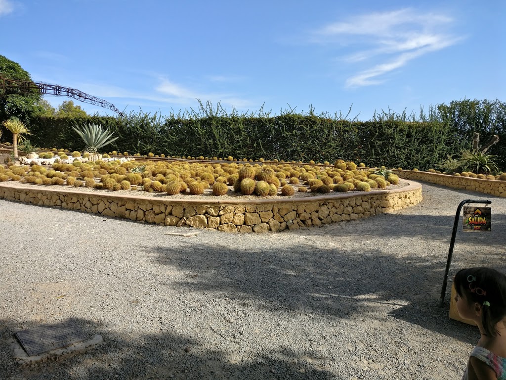 Foto  7