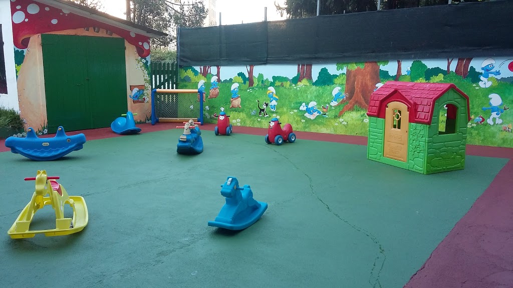 Foto  5