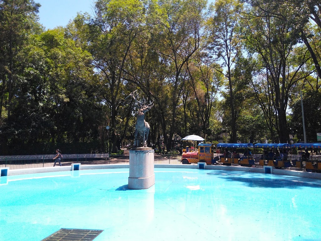 Foto  4