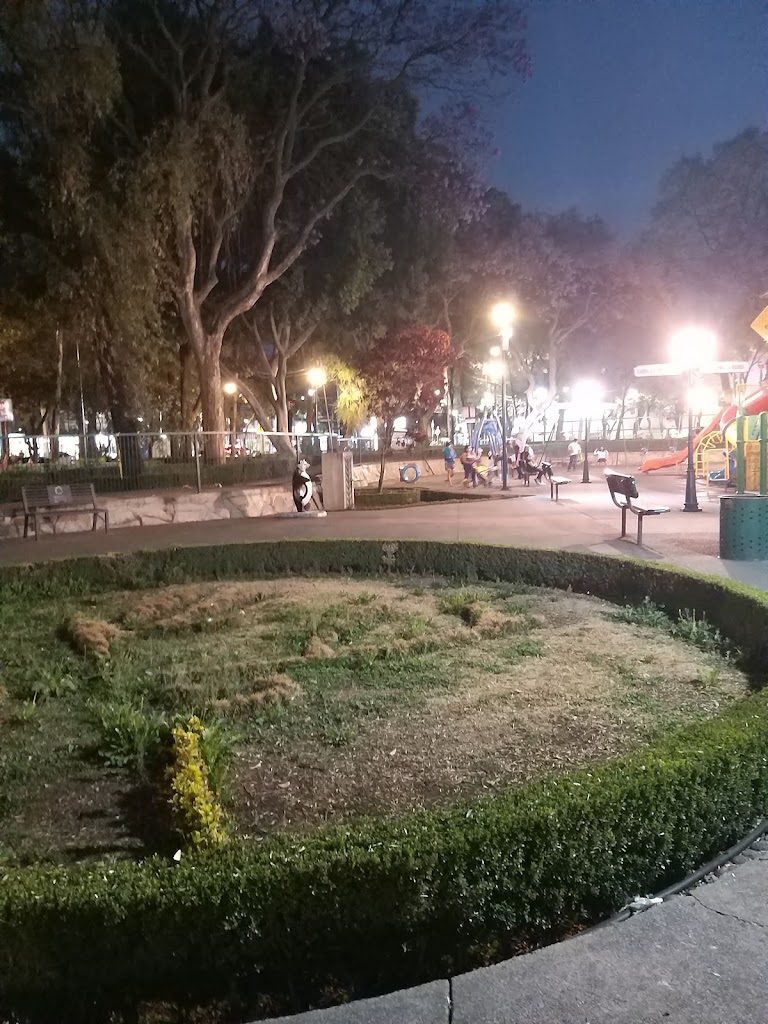 Foto  6