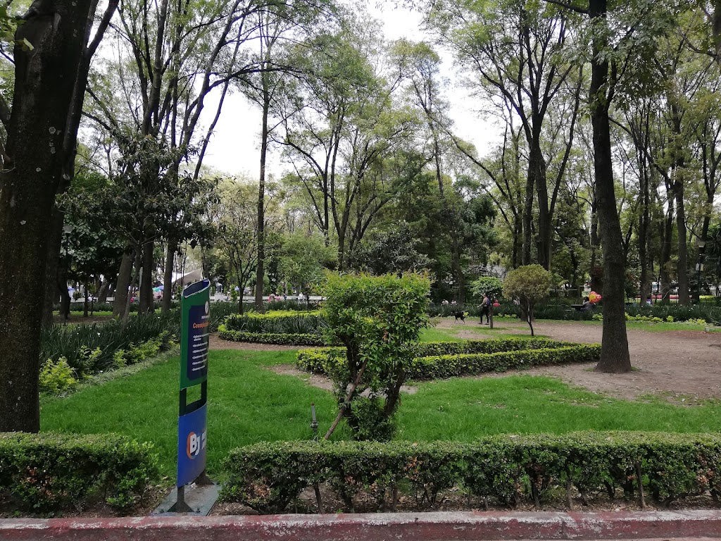 Foto  7