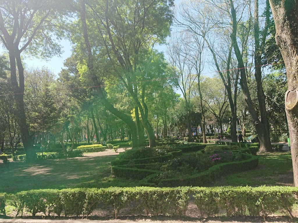 Foto  10