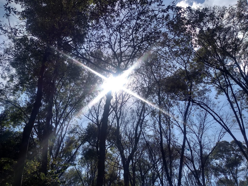 Foto  11