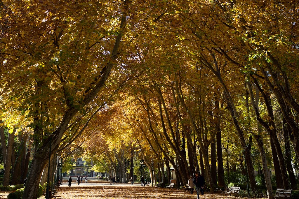 Parque Urbano Abelardo Sánchez 1