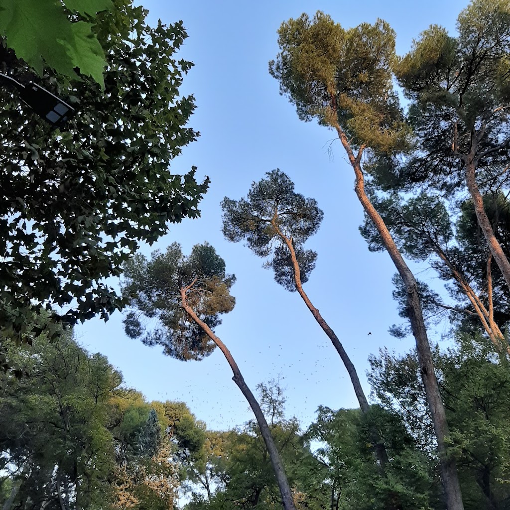 Parque Urbano Abelardo Sánchez 10