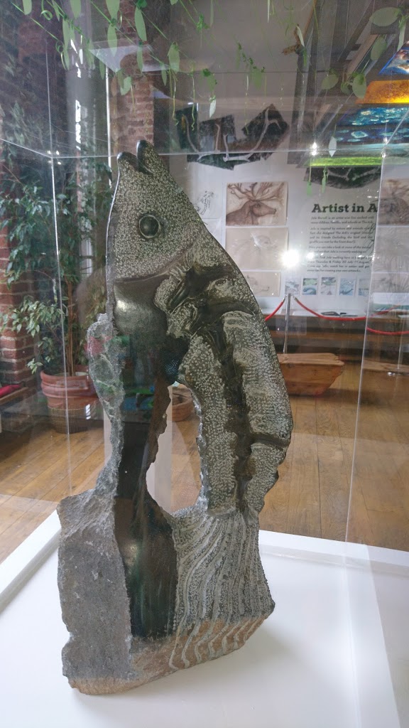 Foto  5