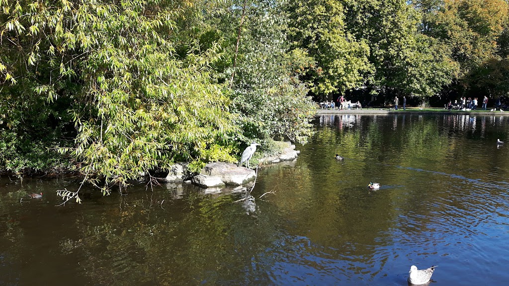 Saint Stephen's Green 11