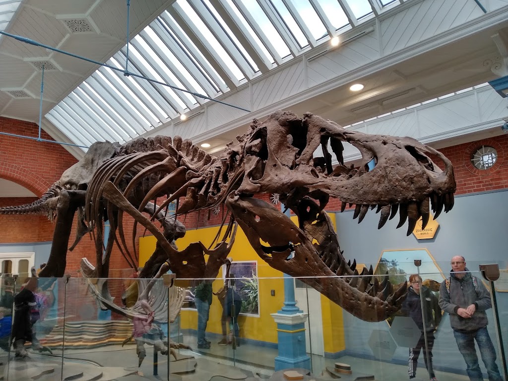 Foto  14