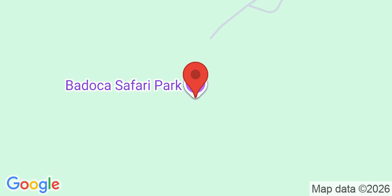 Mapa de la ubicación de Badoca Safari Park