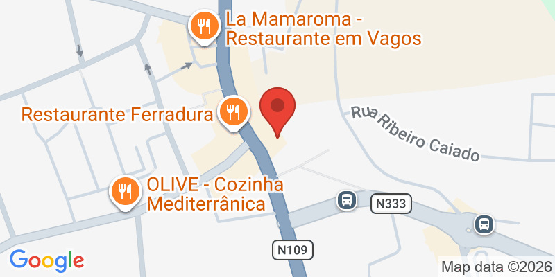 Mapa de la ubicación de Museu do Brincar