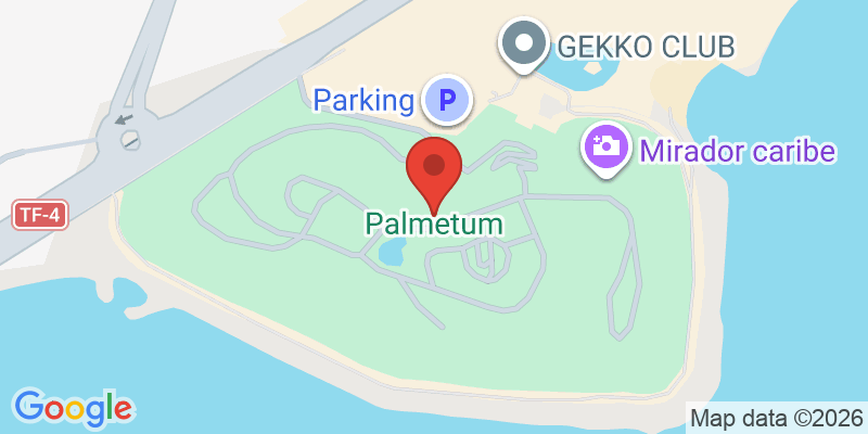 Mapa de la ubicación de Palmetum