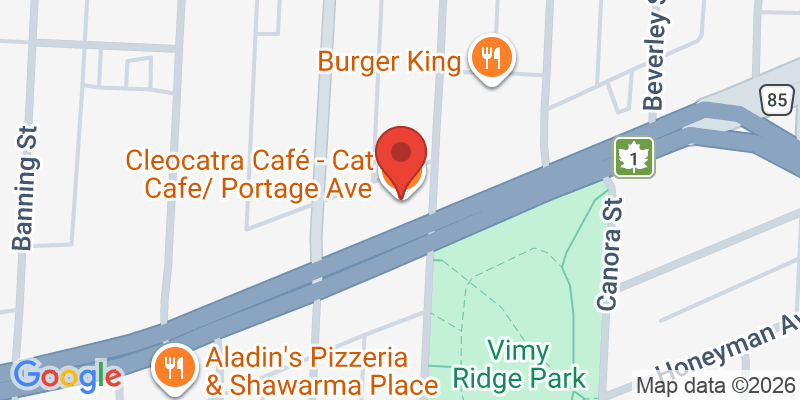 Mapa de la ubicación de Scout: Coffee + Tea