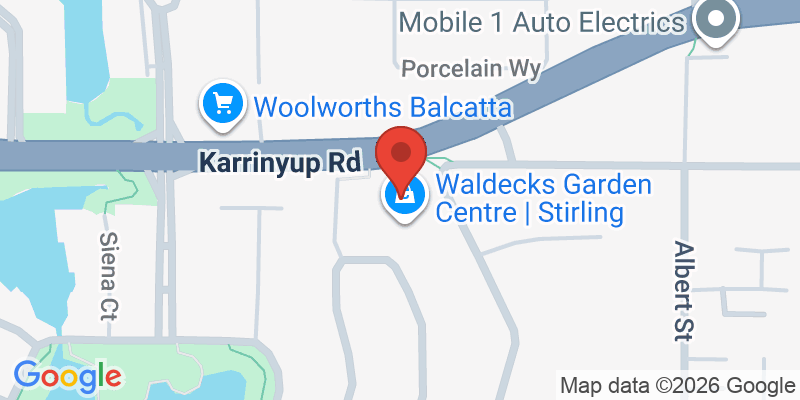 Mapa de la ubicación de Blue Lotus Cafe