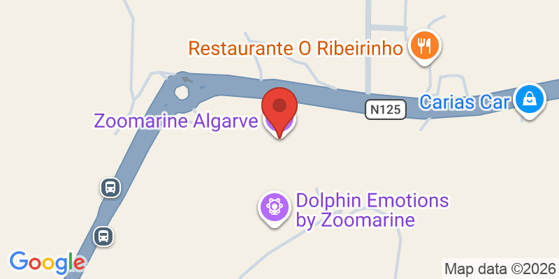 Mapa de la ubicación de Zoomarine