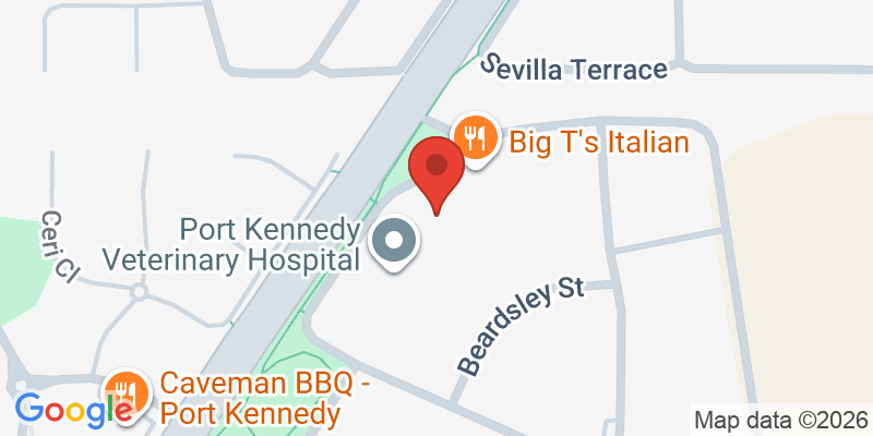 Mapa de la ubicación de Tiny Town and Toy Store