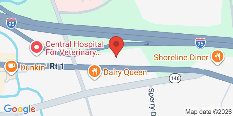 Mapa de la ubicación de Play Café