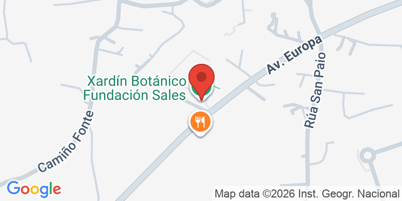 Mapa de la ubicación de Jardín botánico Fundación Sales