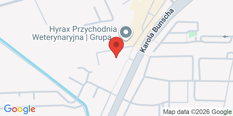 Mapa de la ubicación de Manzana Restaurant