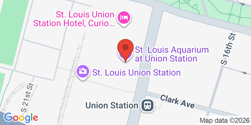 Mapa de la ubicación de St. Louis Aquarium at Union Station