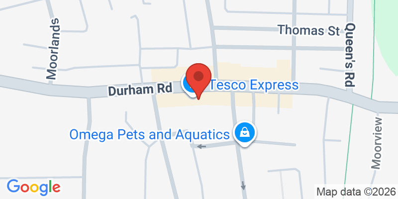 Mapa de la ubicación de The Spotty Giraffe