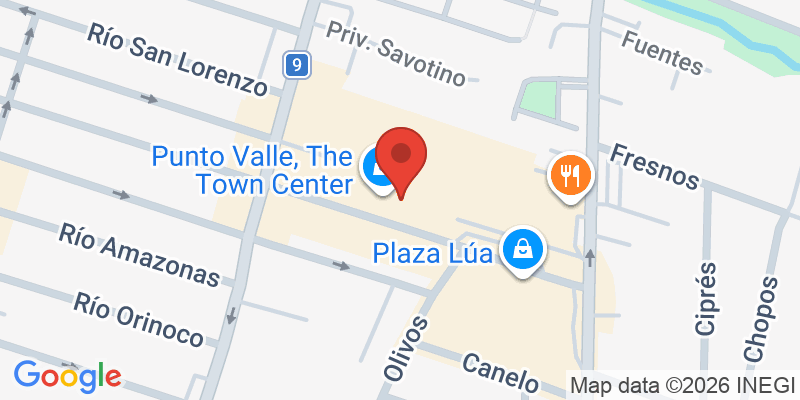 Mapa de la ubicación de Cantina La 20 | Monterrey