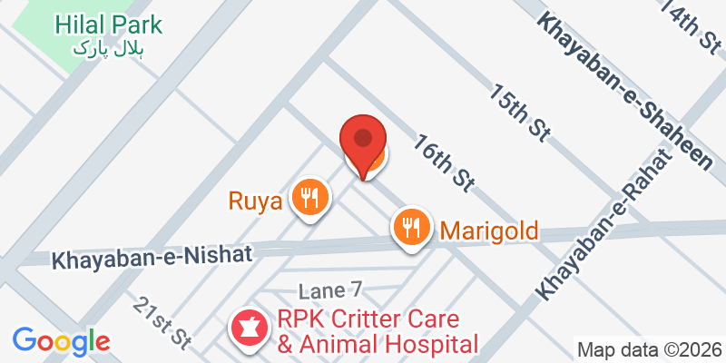 Mapa de la ubicación de The Buzzing Beez Playcafe