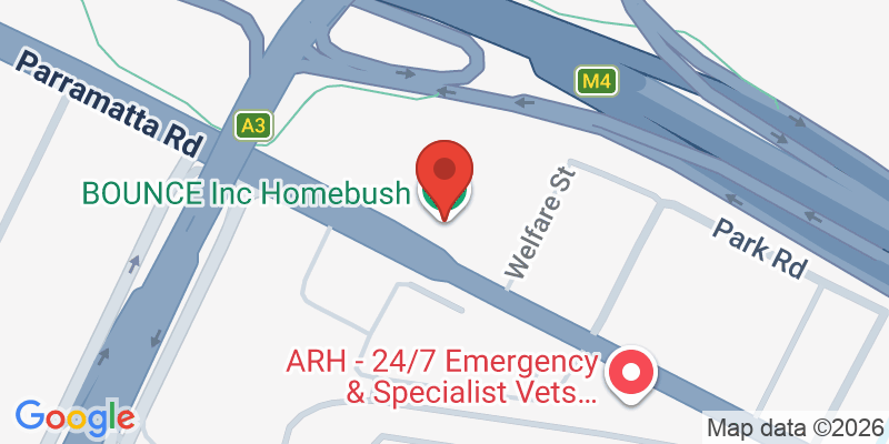 Mapa de la ubicación de BOUNCE Inc Homebush