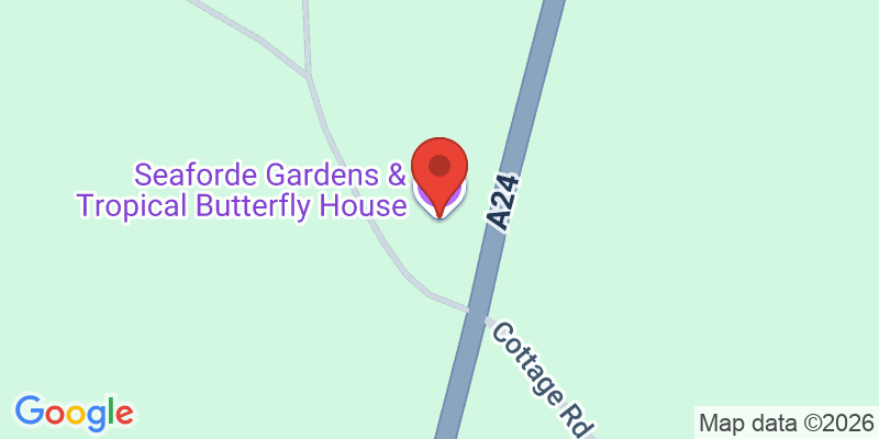 Mapa de la ubicación de Seaforde Gardens &amp; Tropical Butterfly House