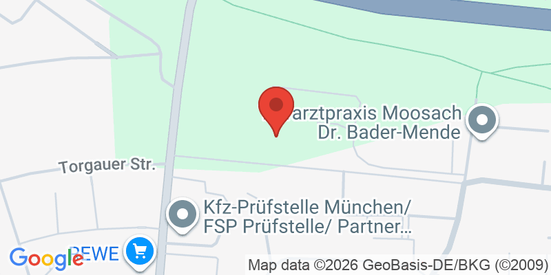 Mapa de la ubicación de Spielplatz "Feldmochinger Straße, Ecke Triebstraße"