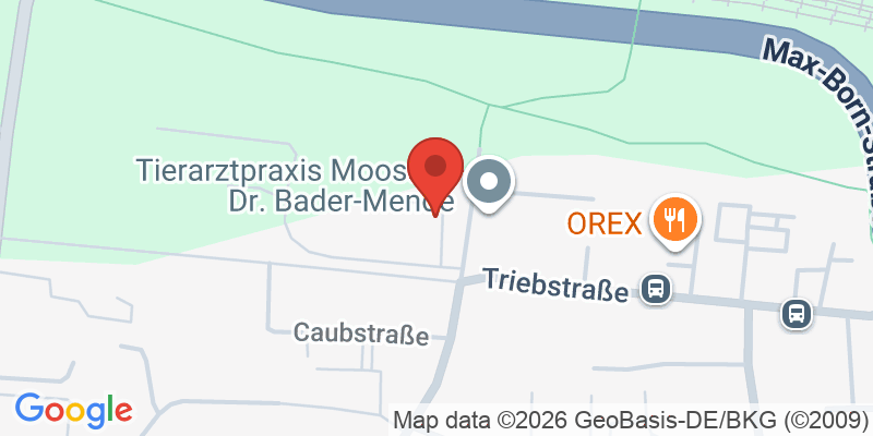 Mapa de la ubicación de Spielplatz "Triebstraße, Ecke Bingener Straße"