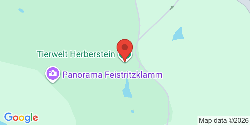 Mapa de la ubicación de Palacio de Herberstein