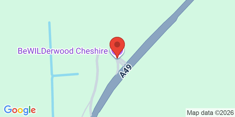 Mapa de la ubicación de BeWILDerwood Cheshire